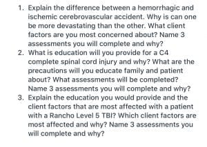 Explain the difference between a hemorrhagic and ischemic cerebrovascular accident