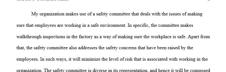 Describe one of the safety committees your organization uses and how it reduces risk within your organization