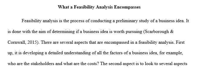 Describe what a feasibility analysis encompasses and the value it might provide.