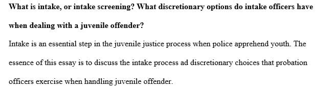 What discretionary options do intake officers have when dealing with a juvenile offender
