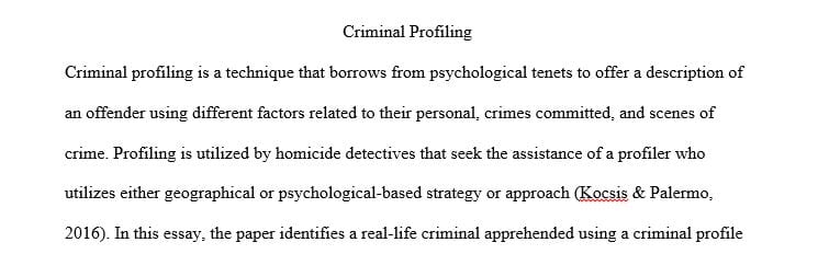 What types of data would be most useful in creating a criminal profile