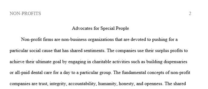 Write a 2 page essay in APA style about the agency’s website.