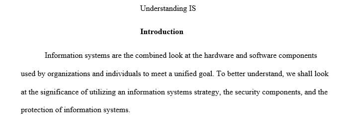 Write about the importance of an information systems strategy.