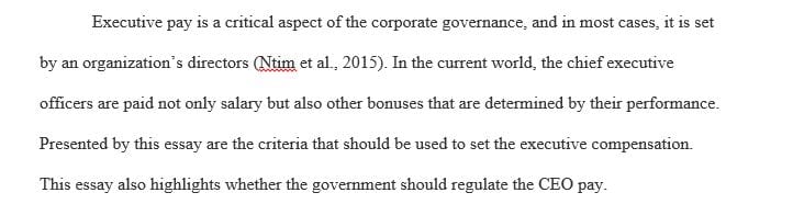 What criteria do you think should be used to determine a CEO’s pay and raises