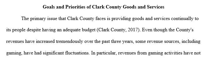 Evaluate goals and priorities of the local government goods and services.