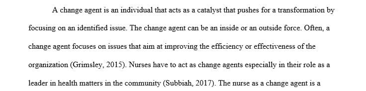 Describe a nurse you have worked with who you have seen as an agent of change.