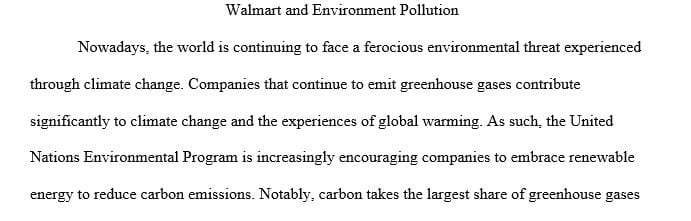 Identify and describe a public issue relating to the company's social or environmental impact.