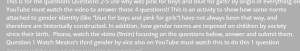 How does the video challenge the dominant American gender ideology of blue for boys and pink for girls
