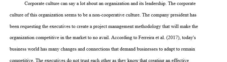 What can you determine about the corporate culture from the fact that they waited this long to consider the development of an EPM system