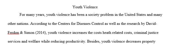 Why is youth violence such a critical problem and what are the costs