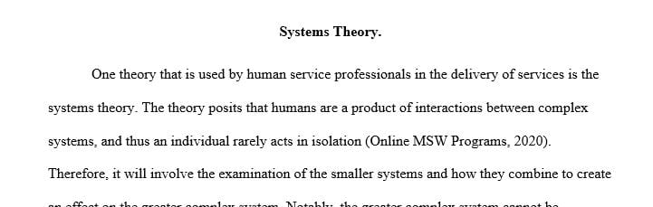 Name one theory that human services professionals use in working with clients.
