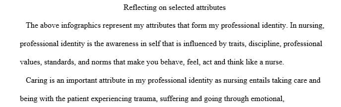 Writing assignment in Leadership and Professional Identity.