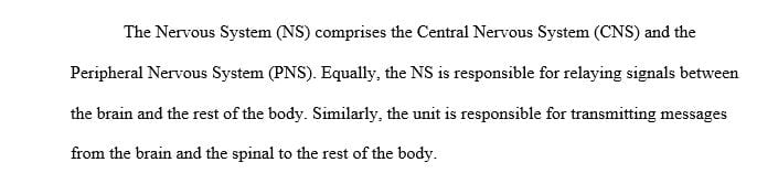 Define the two divisions of the nervous system