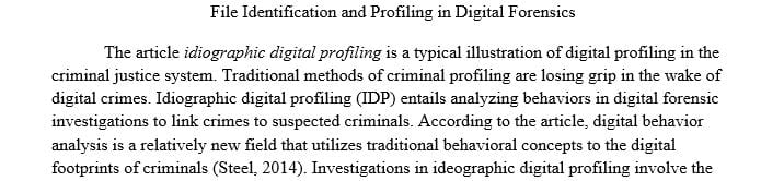 File Identification and Profiling in Digital Forensics