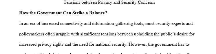 How should the government balance the tensions between privacy and national security concerns