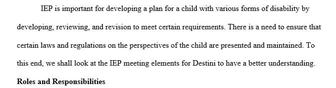 In at least one paragraph summarize each person’s role and contribution to Destini’s IEP meeting.