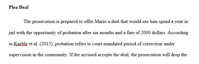 Write an essay (500-750 words) explaining what you as a prosecutor would offer him, and what factors you would consider in your offer