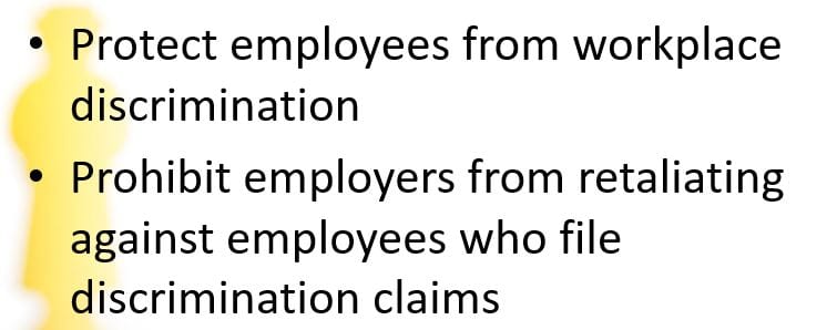 Discuss the requirements of the law chosen and its application to the work place.