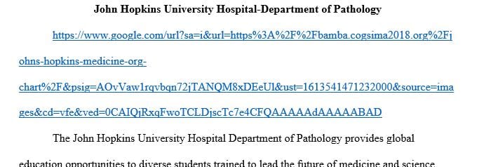 Review healthcare organizational charts on the internet. Select one healthcare organizational chart.