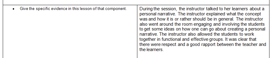 Summarize what you learned from observing other instructors teaching.