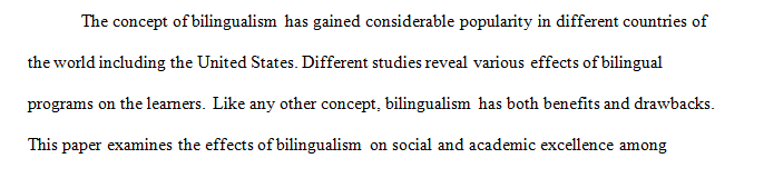 What are the potential effects of bilingual programs on students’ academic and social success