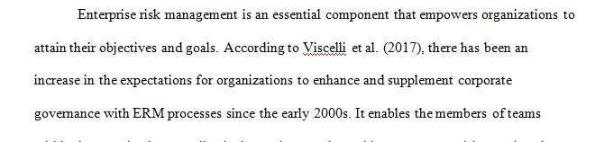 Why Should an Organization Implement an ERM Application