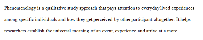 Write a 4 pages phenomenological research plan that outlines the phenomenological research protocols and the research plan of action