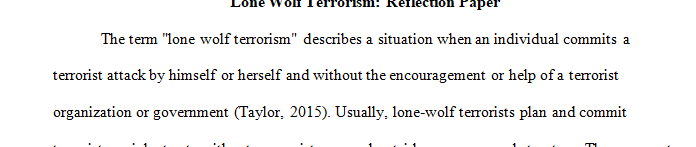 Locate one recent lone wolf terrorist attack that occurred in the United States and abroad (two events).