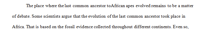 Where did the last common ancestor of African Apes evolve