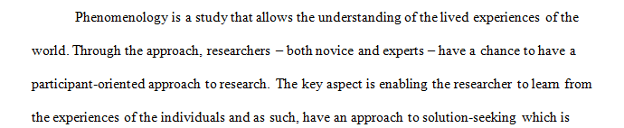 Write a 2-page OUTLINE identifying each stage of phenomenological data analysis appropriately.