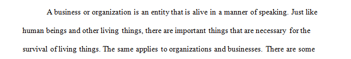 Discuss the importance of an organization’s mission, vision, values, and strategies.