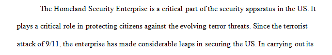 Examine the role of risk management within the homeland security enterprise.