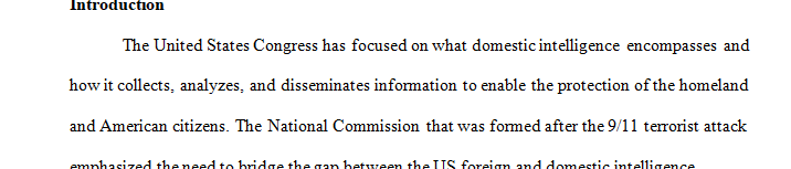 What are the capabilities and limitations of domestic intelligence efforts in supporting the homeland security enterprise