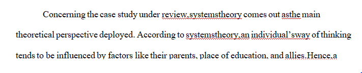 Discuss the primary theoretical perspective reflected in the case study.