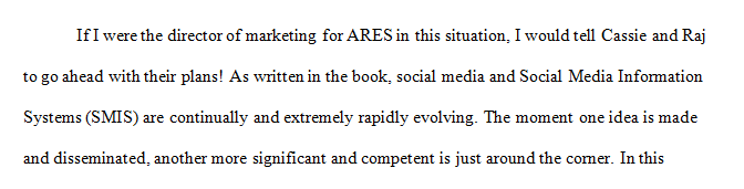 How would you respond if you were the head of marketing at ARES when Cassie and Raj presented their ideas about a mixed-reality environment