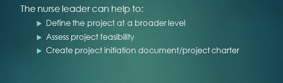 Consider the nurse leader's role at each stage of your project.