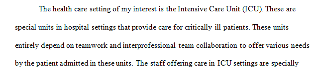 Describe the health care setting and summarize the various individuals or teams typically working together in that setting.