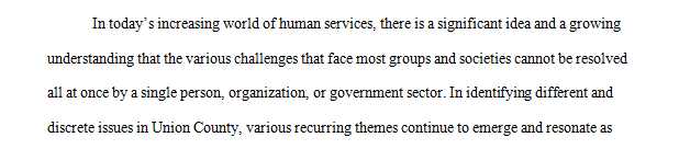 Identify a specific problem that a public organization must address and analyze it
