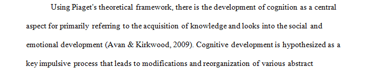 Provide a conceptual framework for the review.