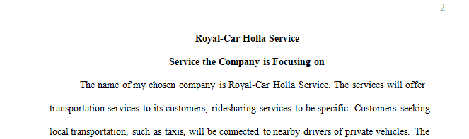 Describe the product or service on which the company is focusing including the company's name and its significance.