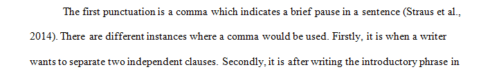 Describe two punctuation (Straus et al. text) or mechanics of style points you learned in this unit.