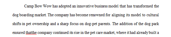 Developing the third section of the Camp Bow Wow Dog Park Summary Report that is based around the concept of the strategic importance of information.