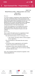 Create a detailed description of the programming for the Sport Outreach organization (the proposed activities) 