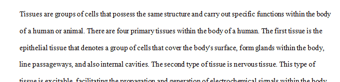 What are the four different types of tissues in our body