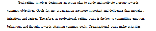 What value does goal setting and continuous learning have on the success of the organization