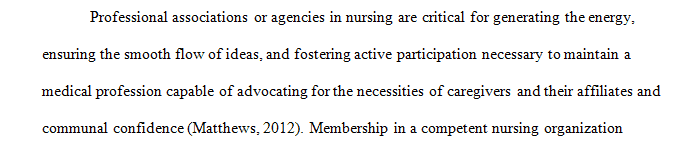 Examine the importance of professional associations in nursing.