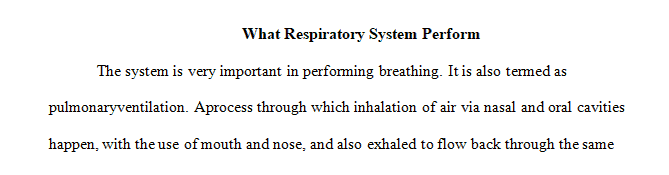 What are the overall functions of the respiratory system