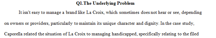 What is the underlying problem in this case from CEO Nick Caporella’s perspective