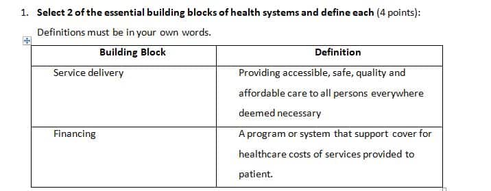 Discuss different health systems and ethics in global health.