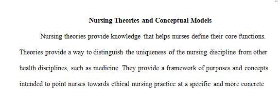 Evaluate theories and conceptual models from nursing